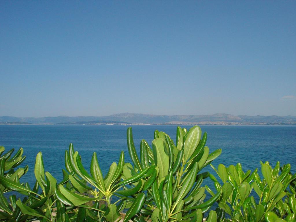 Sea Star Apartment Sutivan Εξωτερικό φωτογραφία